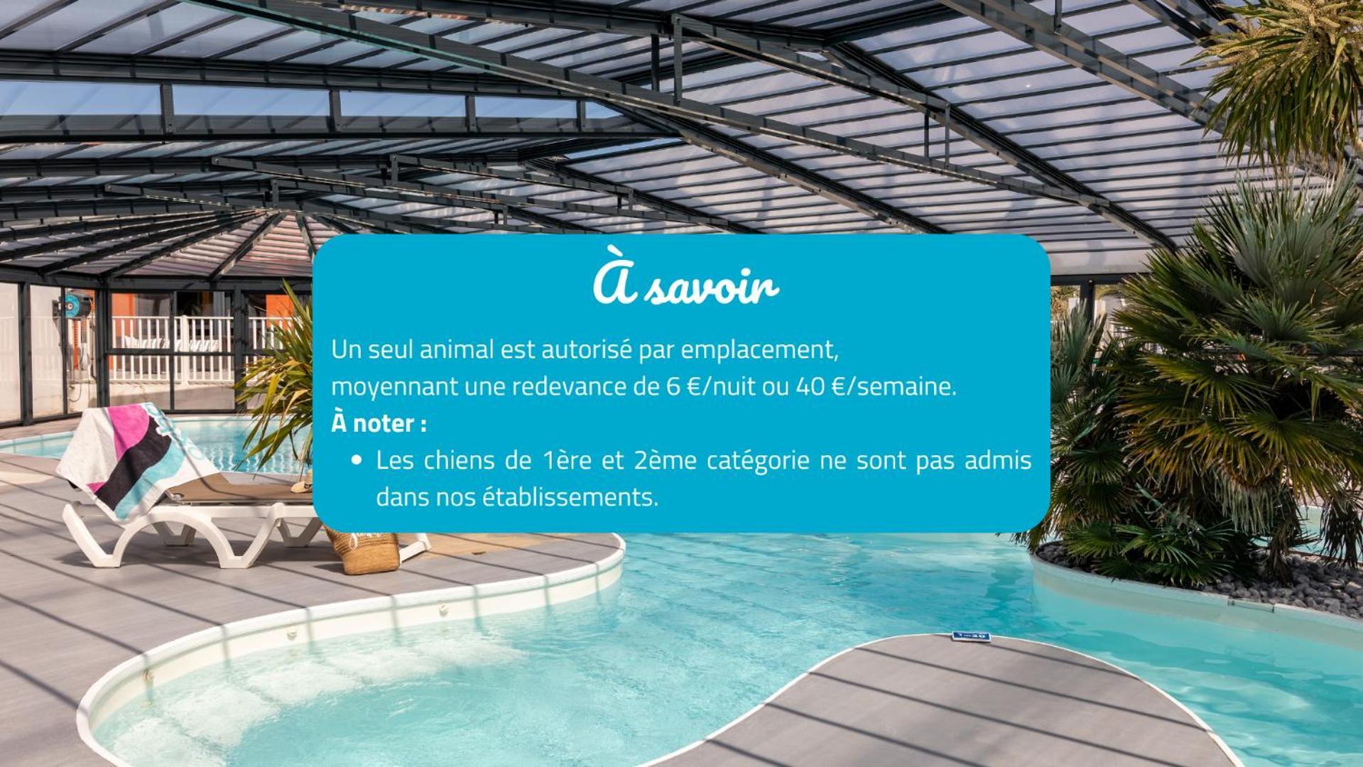 Camping Park Er Lann Saint-Pierre-Quiberon Extérieur photo